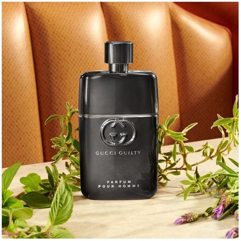 gucci homme guilty|gucci guilty pour homme by.